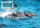 MONTSERRAT       WWF CARTE MAXIMUM NUM.YVERT 746   PROTECTION DE LA NATURE  FAUNE MARINE DAUPHIN - Maximumkaarten