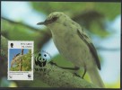 WWF - 1996 - Iles Pitcairn - Rousserolle De Pitcairn - FDC 1 Carte + 1 Lettre - Other & Unclassified