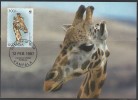 WWF - 1997 - Ouganda - Girafe De L'Ouganda - FDC 1 Carte + 1 Lettre - Other & Unclassified