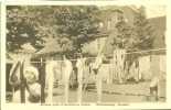 USA – United States – Kitchen And Yard Of Governor's Palace, Williamsburg, Virginia, 1930s Unused Postcard [P5567] - Altri & Non Classificati