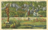 USA – United States – Diana Pool In Brookgreen Gardens, Near Myrtle Beach, SC, 1962 Used Linen Postcard [P5586] - Myrtle Beach