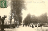 Carte Postale Ancienne De CHAULNES - Avenue Ste Anne - Chaulnes