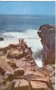 USA – United States – Thunder Hole, Acadia National Park, Bar Harbor, Maine, 1964 Used Postcard [P5599] - Otros & Sin Clasificación