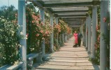 USA – United States – Classic Italian Renaissance Marble Pergola, Sculpture Gardens Of Swannaona Palace Postcard[P5627] - Andere & Zonder Classificatie