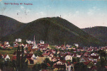 7135  BAD HARZBURG    Circulée 1913 - Bad Harzburg