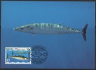 WWF - 1997 - Nauru - Wahoo - 1 Carte + 1 Lettre - Other & Unclassified