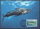 WWF - 1997 - Nauru - Voilier Du Pacifique - 1 Carte + 1 Lettre - Other & Unclassified