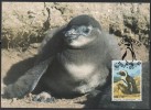 WWF - 1997 - Namibie - Manchot Du Cap - 1 Carte + 1 Lettre - Other & Unclassified