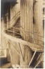 Seattle WA Washington State Museum University Of WA, Winding Staircase Giant Tree, C1910s Vintage Real Photo Postcard - Seattle
