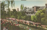 USA – United States – Gardens At The Mimslyn, Hotel Of Distinction, Luray, Virginia, Early 1900s Unused Postcard [P5655] - Altri & Non Classificati