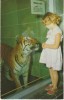 Seattle WA, Woodland Park Zoo, Girl With Bengal Tiger, C1950s Vintage Chrome Postcard - Seattle