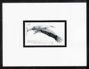 Color Print, Germany Sc2278 Bird, White Stork, Oiseau, Cigogne - Cigognes & échassiers