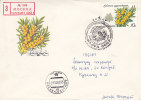 Russie - Plantes - Fruits - Lettre Recommandée De 1980 - Storia Postale