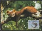 WWF - 1992 - Irlande - Martre Des Pins - FDC 1 Carte + 1 Lettre - Other & Unclassified