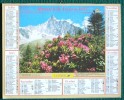 CALENDRIER ALMANACH DES P.T.T.  1995 FERMETTE DE RIEVAULTX ANGLETERRE  AIGUILLE DU DRU - Grossformat : 1991-00