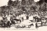 71 AUTUN -  Le Marché Aux Chevaux Sur La Promenade Des Marbres - Autun