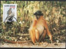 WWF - 1992 - Guinée-Bissau - Colobe Bai D'Afrique Occidentale - FDC 1 Carte + 1 Lettre - Other & Unclassified