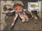 WWF - 1993 - British Indian Ocean Territory - Crabe Des Cocotiers - FDC 1 Carte + 1 Lettre - Zonder Classificatie