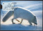 WWF - 1993 - Islande - Renard Polaire - FDC 1 Carte + 1 Lettre - Other & Unclassified