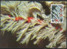 WWF - 1994 - Nevis - Coraux Noirs - FDC 1 Carte + 1 Lettre - Ohne Zuordnung