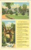 USA – United States –  In Old Virginia, The Natural Bridge Of Virginia, 1940 Used Linen Postcard [P5679] - Autres & Non Classés