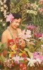 USA – United States – Lovely Hawaii, The Tender Loveliness Of A Sarong Clad Maiden, 1959 Used Postcard [P5699] - Big Island Of Hawaii