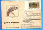 Birds, Bird, Parrots  Russia URSS. Postal Stationery Cover 1983 - Flamants