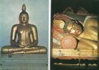 2CP. Suddha Statue.Sri Lanka 1982. Samadhi Statue Of The Lord Buddha. Mouse Deer. Voyagé. Air Mail.New! - Boeddhisme