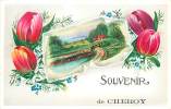 89 , CHEROY , Souvenir , *119 89 - Cheroy