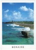 BONAIRE - NETHERLANDS ANTILLES - PARK WASHINGTON-BOCA BARTOL / THEMATIC STAMP-DOG - Bonaire