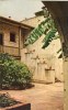 USA – United States – Bosque Courtyard, New-Orleans, Louisiana, Unused Postcard [P5737] - New Orleans