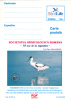 BIRDS FLAMANTS 2000 PC Entier Postal Card,"recurvirostra Avosetta" Unused Romania - Cigognes & échassiers