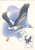 Russia: CM Carte Maximum WWF Oiseau "ARDEA PURPUREA" 1982 FDC Cancell. - Cigognes & échassiers