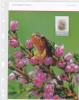 Norway Collector Sheet Mi 1713 Personalised Stamps - Flowers - Heather - Frog - 2010 - Blokken & Velletjes