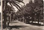 PORTO SAN GIORGIO ( FERMO ) VIALE F. CAVALLOTTI - 1953 - Fermo