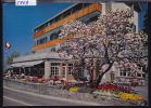 Chexbres : L´Hôtel Bellevue Vers 1976  ; Grand Format 10 /15 (5869) - Chexbres