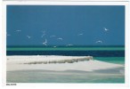 MALDIVES HEAVEN ON EARTH (N.7/20) / THEMATIC OVERPRINT STAMP - FLOWERS - Maldiven