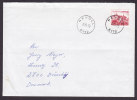 Norway Deluxe HÅVOLL 1978 Cover To BRØNSHØJ Denmark - Briefe U. Dokumente