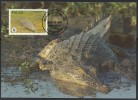 WWF - 1994 - Palau - Crocodile à Double Crête - FDC 1 Carte + 1 Lettre - Other & Unclassified