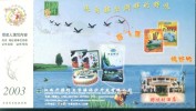 Bird Duck Food   ,   Prepaid Card Postal Stationery - Patos