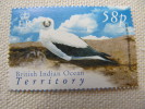 5676 Bird Mer Fou Nuage Ciel Sula  Oiseau  BIOT Palmier Océan Indien île Bec - Albatros & Stormvogels