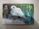 5671 Bird Mersterne Blanche Gygis Alba Oiseau  BIOT Palmier Océan Indien île Bec - Rondini