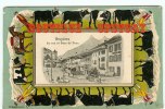 SUIISE - FR - GRUYERES - RARE - La Rue Et Dent De Broc - Vaches Et Mulet - Belle Carte En Relief - Broc