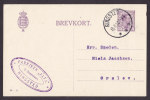 Denmark Postal Stationery Ganzsache Entier FABRIKEN "ALFA" S. Svendsen RINGSTED 1920 To ØRSLEV (2 Scans) - Enteros Postales