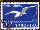 ROMANIA, 1957, Black-headed Gull;   Used - Oblitérés