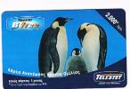 GRECIA (GREECE) - TELESTET (GSM RECHARGE) - PENGUINS  2000 DR. (DIFFERENT FRONT)   - USED - RIF. 6241 - Pingueinos