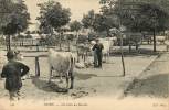 Vichy : Un Coin Du Marché - Vichy