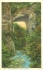 USA – United States – Natural Bridge, VA, 1920s Unused Postcard [P5789] - Other & Unclassified