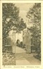 USA – United States – Palace Garden, Governor's Palace, Williamsburg, Virginia, Early 1900s Unused Postcard [P5790] - Other & Unclassified