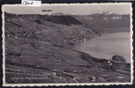 Route De La Corniche, Epesses Et Le Lac Vers 1950 (5901) - Épesses